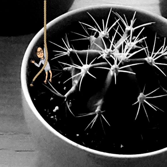 🌱 Bella - Picture 1 of 1